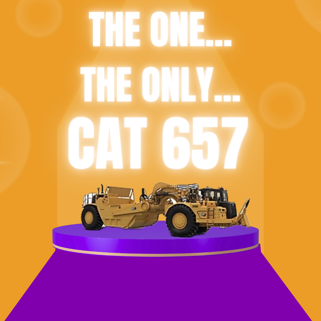 Cat 657 on a purple podium against an orange background and the words "The One, The Only, Cat 657."