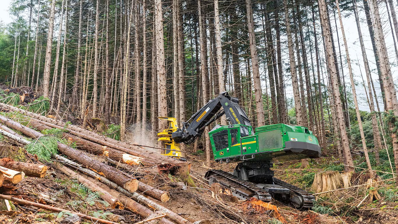 John Deere feller buncher working on a slope in a wooded area.