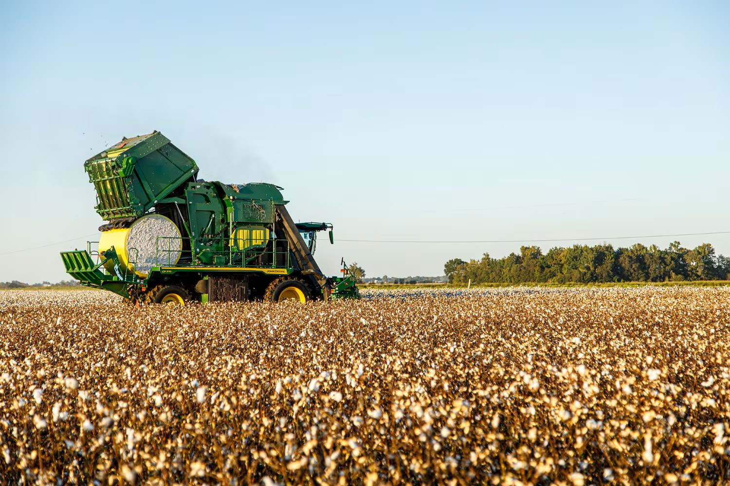 A John Deere CP770 Cotton Picker in the middle of a cotton field with a large collection of cotton on the back.