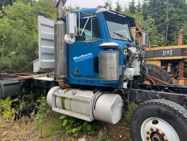 1991 Peterbilt 378  Inventory #297
