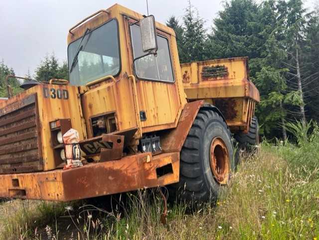 1990 Caterpillar D30D  Inventory #300